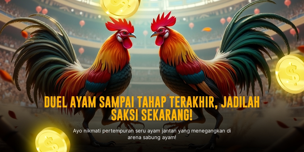 Mengenal Ayam Bangkok: Raja Sabung Ayam dengan Odds Menggiurkan